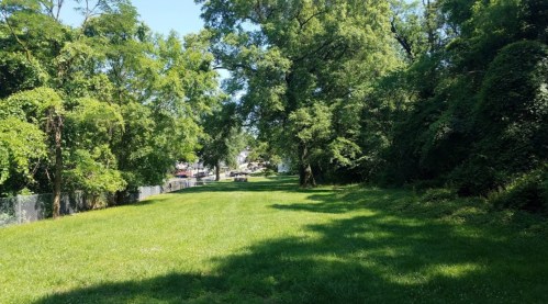 A lush green park with tall trees and a grassy area, under a clear blue sky.