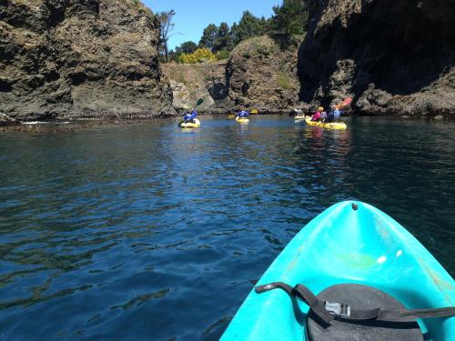 A turquoise kayak in the foreground with people kayaking in a calm, rocky cove surrounded by greenery.