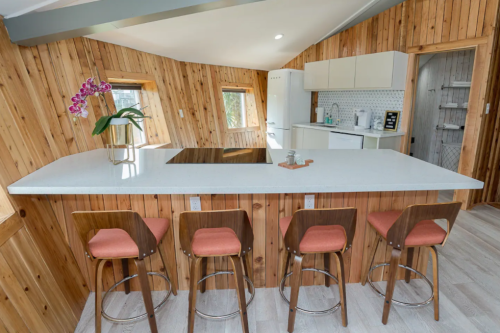Modern kitchen with wooden walls, a large island, four stools, and a touch of greenery from an orchid.