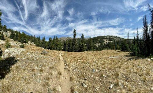 A scenic landscape featuring a dirt path winding through a grassy area surrounded by trees and mountains under a blue sky.