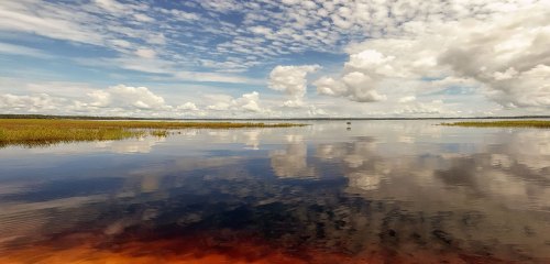 A serene lake scene with calm waters reflecting fluffy clouds and blue sky, surrounded by tall grasses.