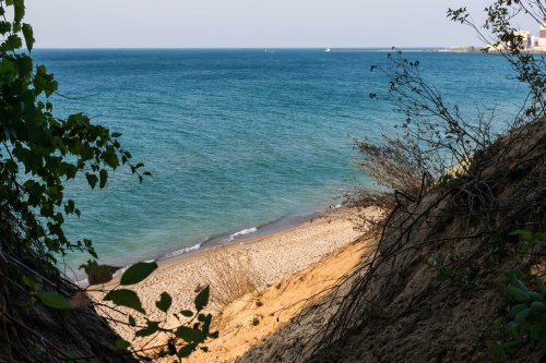 A serene beach view framed by greenery, with gentle waves lapping at the shore under a clear blue sky.