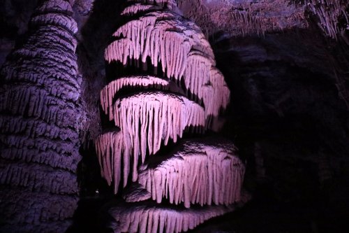 A cave formation with elongated, dripping stalactites illuminated by purple light, creating a mystical atmosphere.