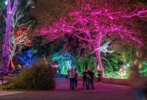 Colorful trees adorned with vibrant lights illuminate a pathway, with people walking through a festive atmosphere.