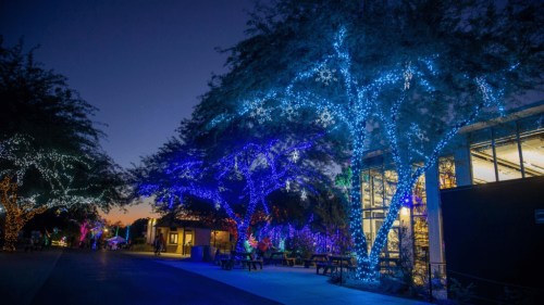 Colorful lights adorn trees and buildings in a festive outdoor setting at dusk.