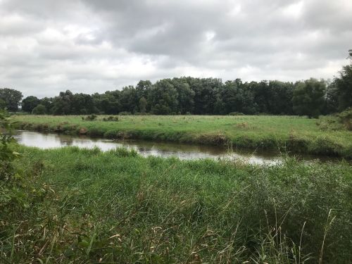 A serene river flows through lush green grass and trees under a cloudy sky.