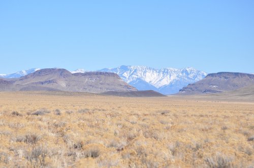 A vast desert landscape with golden grass and distant snow-capped mountains under a clear blue sky.