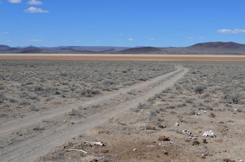A dirt road winds through a barren landscape with sparse vegetation and distant mountains under a clear blue sky.