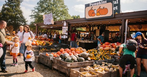 A bustling farmers market with colorful pumpkins and gourds, families browsing and enjoying the autumn atmosphere.