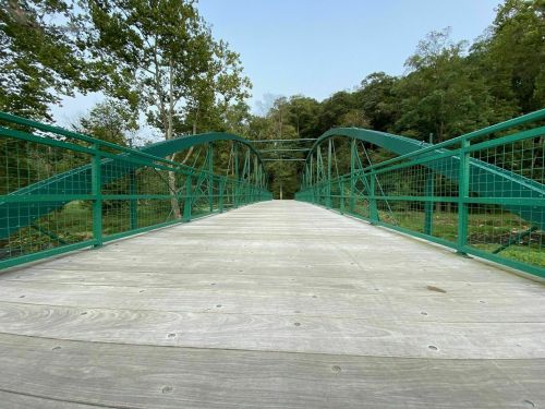 A green metal bridge spans a wooded area, with a wooden walkway leading into the distance.