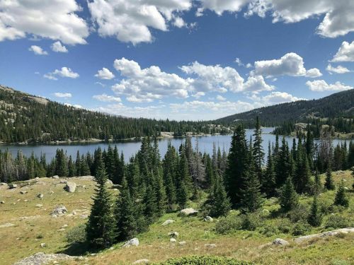 A serene landscape featuring a lake surrounded by lush green trees and a blue sky with fluffy clouds.