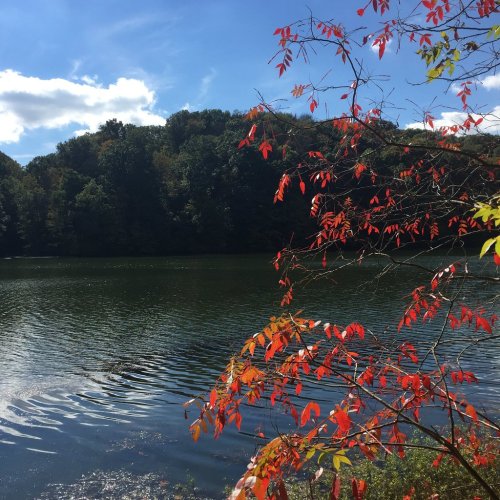 A serene lake surrounded by trees, with vibrant red leaves in the foreground and a clear blue sky above.