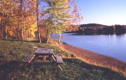 A serene lakeside scene with a wooden picnic table surrounded by colorful autumn trees and calm water.