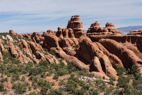 A scenic view of red rock formations and green shrubs under a blue sky in a desert landscape.