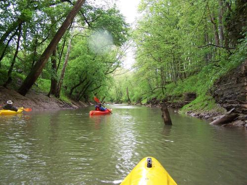 Two kayakers navigate a serene, tree-lined river on a cloudy day, surrounded by lush greenery.