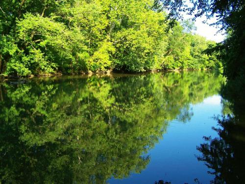 A serene river surrounded by lush green trees, reflecting the vibrant foliage on its calm surface.
