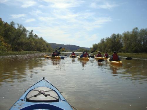 A group of kayakers paddles on a calm river surrounded by trees and hills under a clear blue sky.