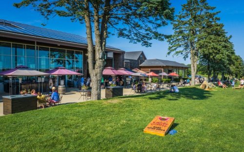 A sunny outdoor scene at a café with people sitting under umbrellas, surrounded by green grass and trees.