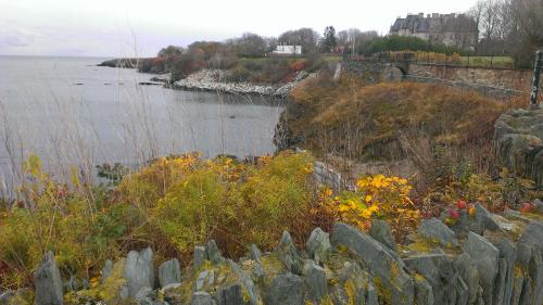 Coastal view with rocky shoreline, autumn foliage, and a distant building under a cloudy sky.