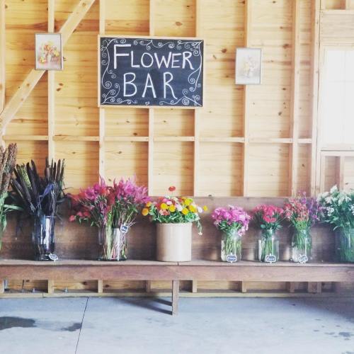 A rustic flower bar with various colorful flowers in vases, displayed on a wooden bench against a wooden wall.