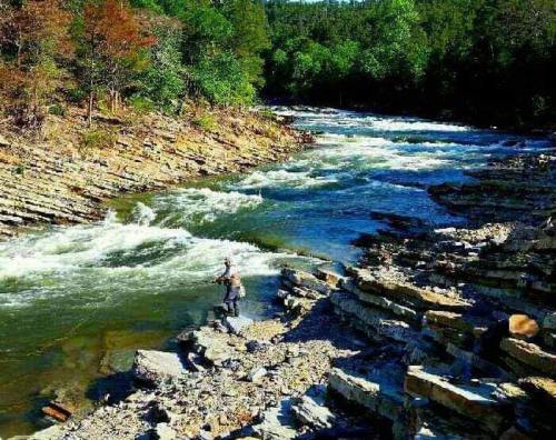 A person stands on rocky riverbank, casting a line into a flowing river surrounded by lush greenery.