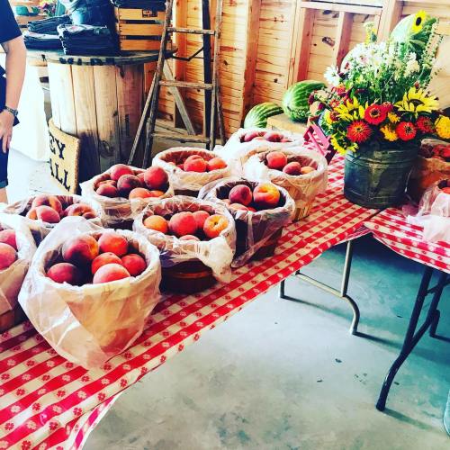 Baskets of fresh peaches on a checkered tablecloth, with a bouquet of flowers in the background.