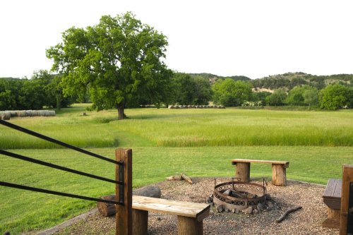 A serene outdoor scene featuring a fire pit surrounded by benches, lush green grass, and a large tree in the background.