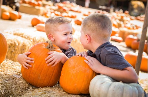 Two young boys smile and play with pumpkins on a sunny day at a pumpkin patch, surrounded by hay bales.