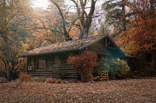 A cozy log cabin surrounded by vibrant autumn foliage and fallen leaves in a serene forest setting.