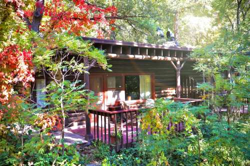A cozy log cabin surrounded by vibrant green trees and colorful autumn foliage, with sunlight filtering through.