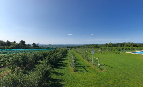 A panoramic view of lush green fields and mountains under a clear blue sky, with rows of crops and a pool in the foreground.