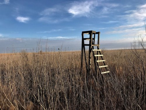 A wooden observation tower stands in a field of tall, dry grass under a blue sky with scattered clouds.