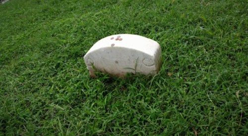 A small, weathered stone marker partially covered by grass, with a few coins placed on top.