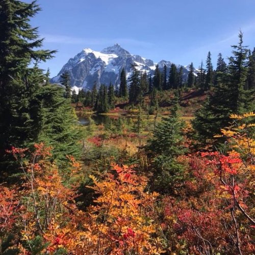 A vibrant autumn landscape with colorful foliage, a serene lake, and snow-capped mountains in the background.