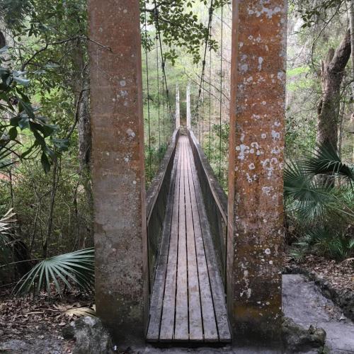 A wooden suspension bridge surrounded by lush greenery and tall trees, leading into a misty forest.