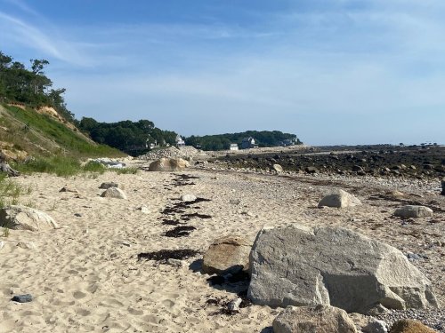 A sandy beach with large rocks, seaweed, and a distant view of trees and buildings under a clear blue sky.