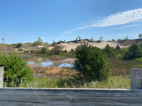 A serene landscape featuring a pond surrounded by greenery and sandy hills under a clear blue sky.