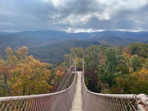 A suspension bridge surrounded by colorful autumn trees, overlooking a mountainous landscape under a cloudy sky.