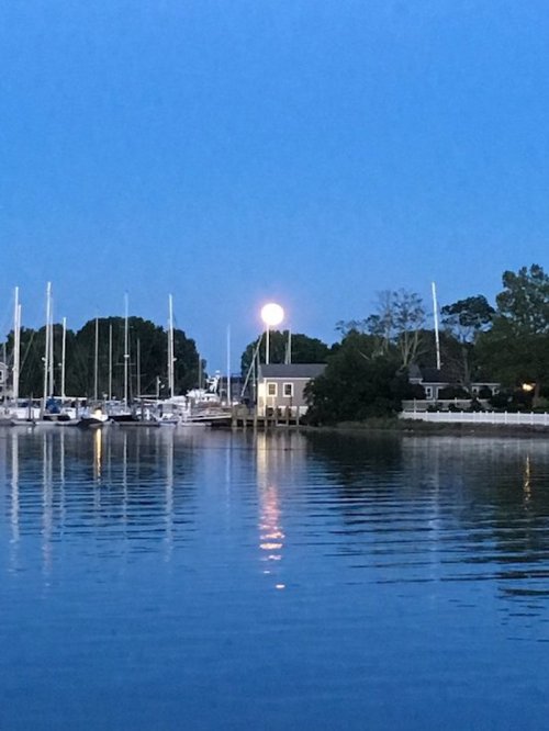 A serene evening scene with a full moon reflecting on calm water, surrounded by boats and trees.