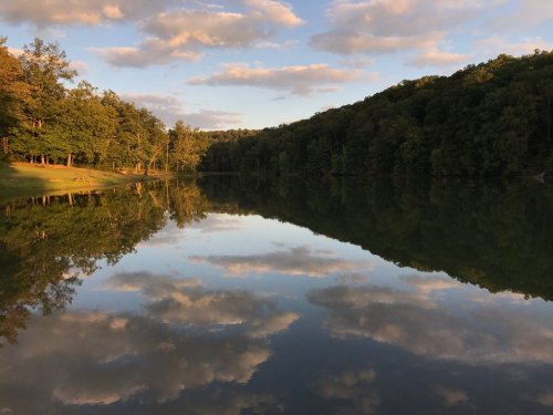 A serene lake reflecting trees and clouds under a blue sky, surrounded by lush greenery.