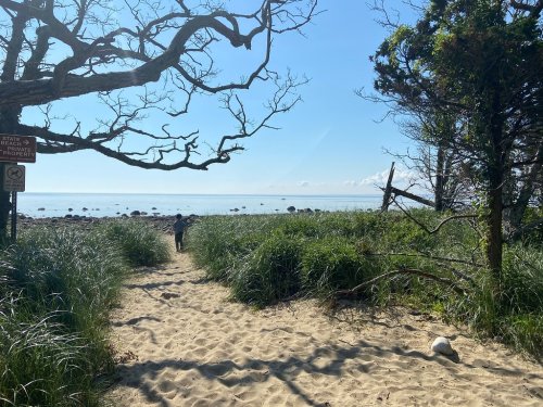 A sandy path leads to a beach, framed by trees and grass, with a person walking towards the water under a clear sky.
