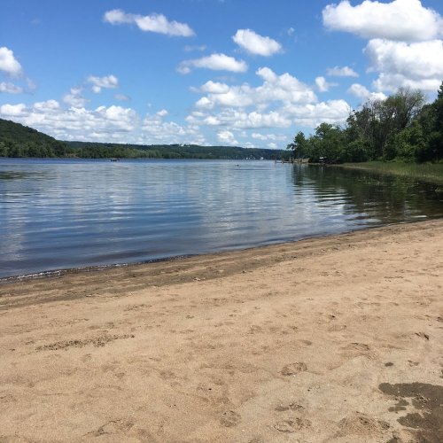 A serene beach scene with sandy shore, calm water, and fluffy clouds in a blue sky. Lush greenery in the background.