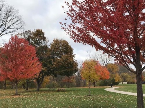 A park scene with vibrant autumn trees in shades of red and orange, a winding path, and a cloudy sky.