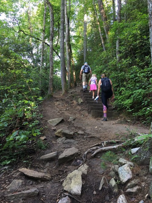 Three hikers ascend a rocky trail surrounded by lush green trees and foliage.