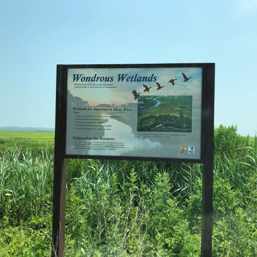 Sign about wetlands, featuring text on their importance and a scenic background with birds flying above.