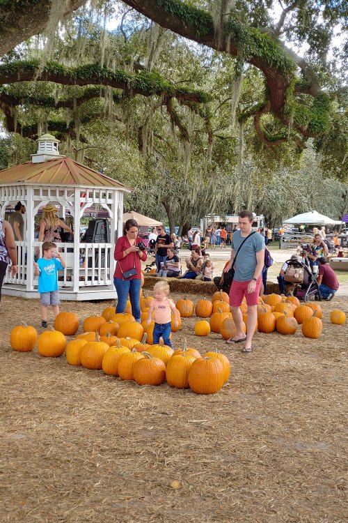 A family and children gather around a patch of pumpkins at a festive outdoor event under large trees.