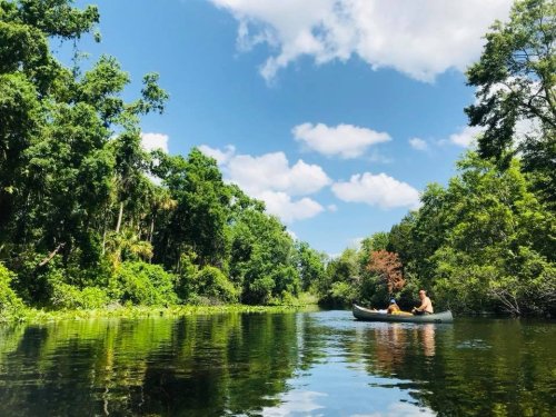 A canoe floats on a calm river surrounded by lush green trees and a bright blue sky with fluffy clouds.