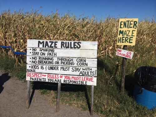 Sign with maze rules: no smoking, stay on path, no running or picking corn, kids must stay with adults. Trash can nearby.