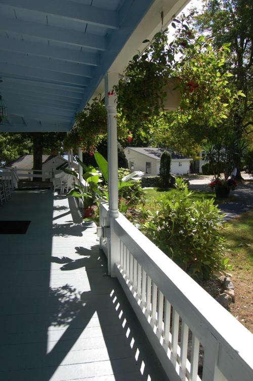 A sunny porch with blue ceiling, hanging plants, and a view of a garden and pathway.