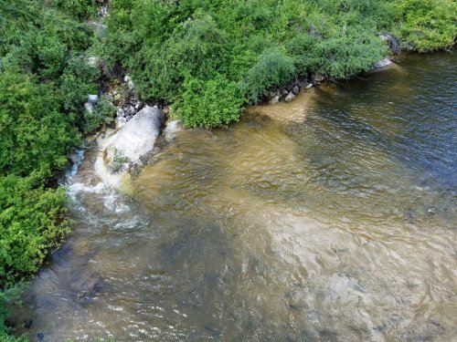 A serene river flows through lush greenery, with rocks partially submerged in the water.